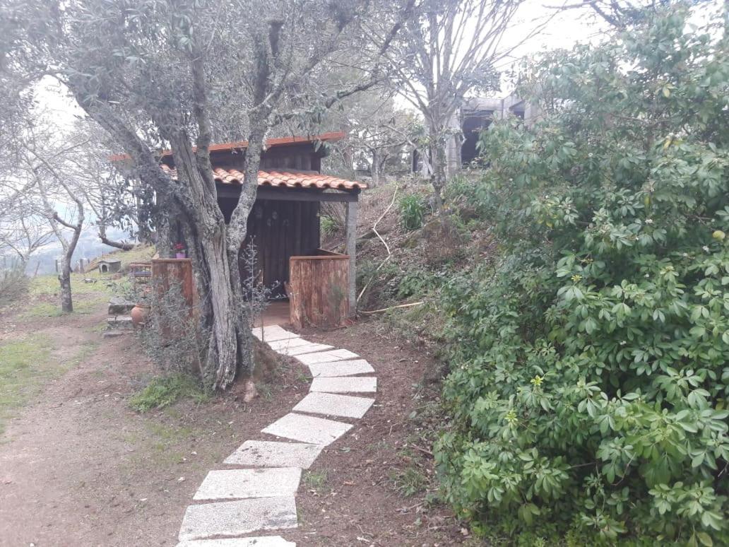 Cabana Da Oliveira Marco de Canavezes Εξωτερικό φωτογραφία