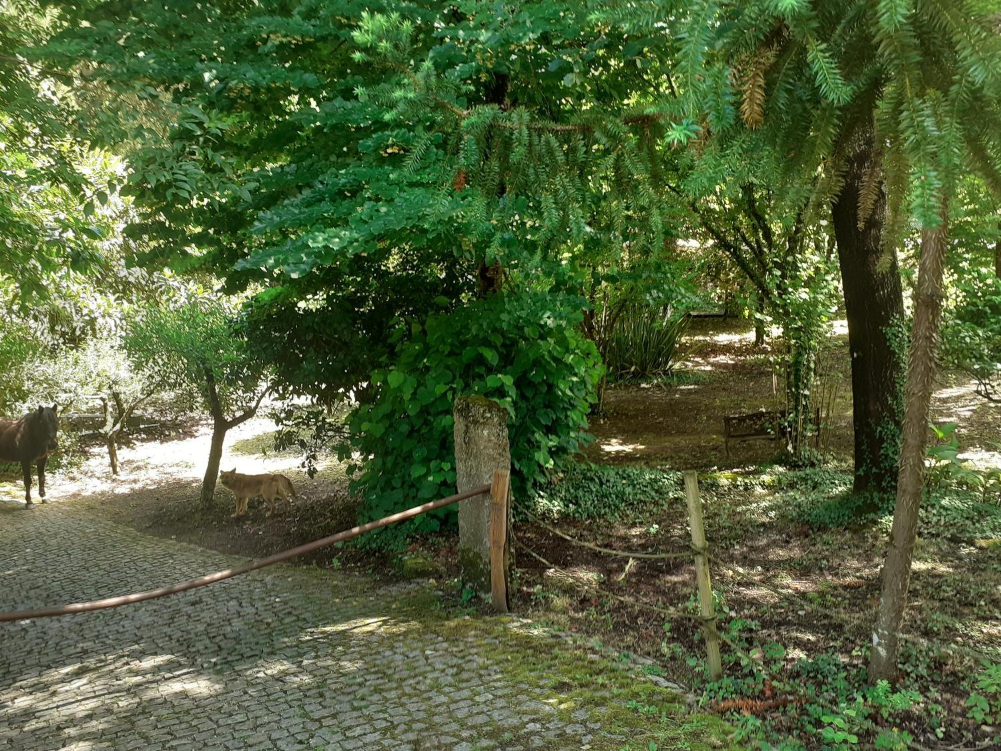 Cabana Da Oliveira Marco de Canavezes Εξωτερικό φωτογραφία
